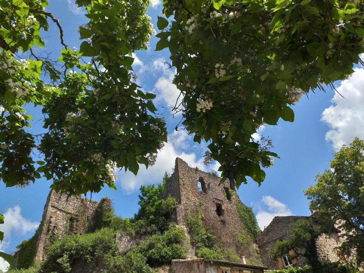 Les Pentes Du Chateau De Retourtour Lamastre Bagian luar foto